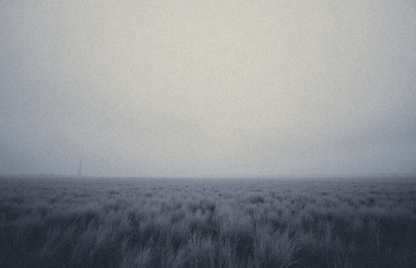 Wide, empty photograph of wind-flattened steppe grass stretching to the horizon under cold light, no figures, no structures.